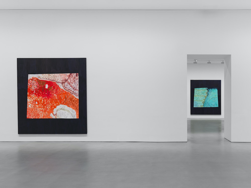 Luc Tuymans David Zwirner 