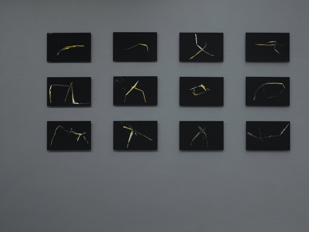 Imogen Stidworthy AKINCI 