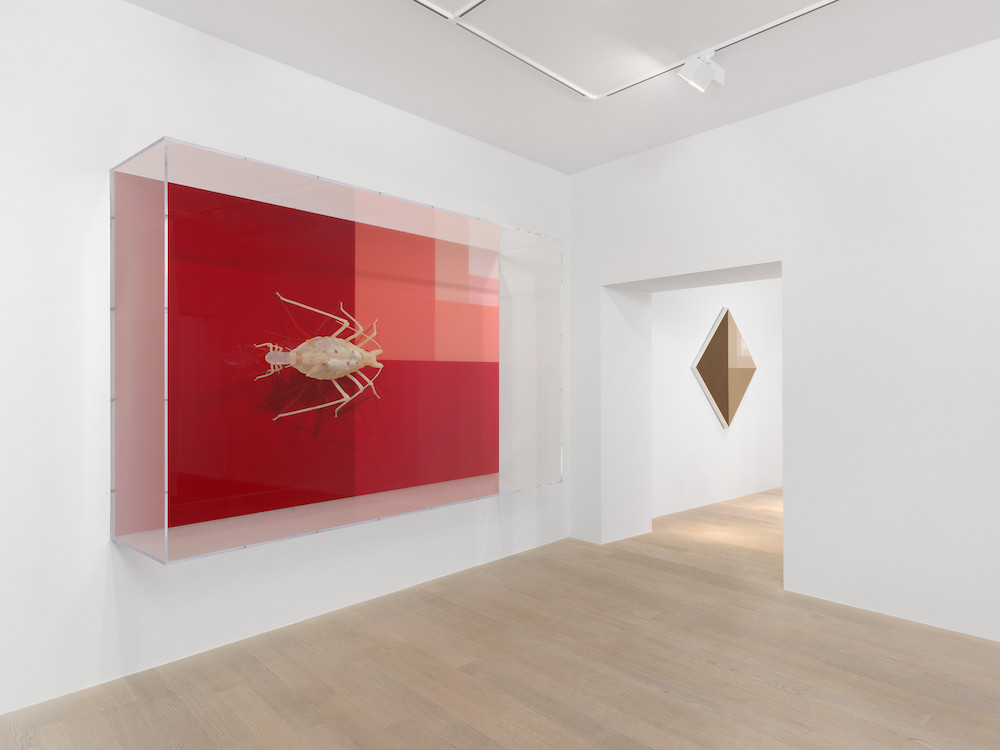 Carsten Höller Gagosian 