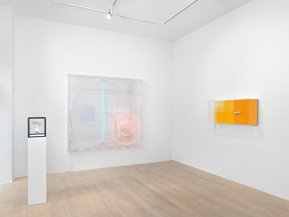 Carsten Höller Gagosian 