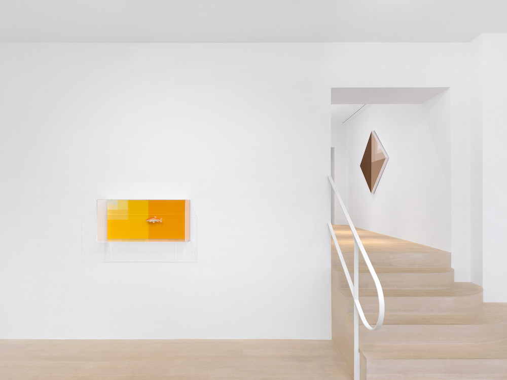 Carsten Höller Gagosian 