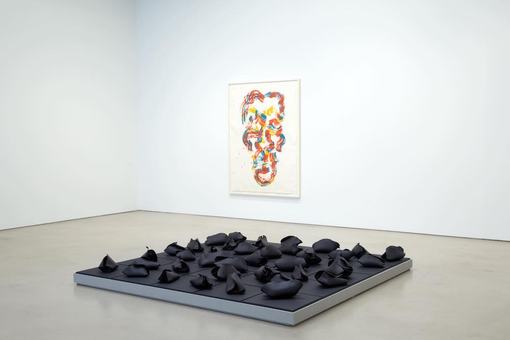 Hannah Wilke Petzel Gallery 