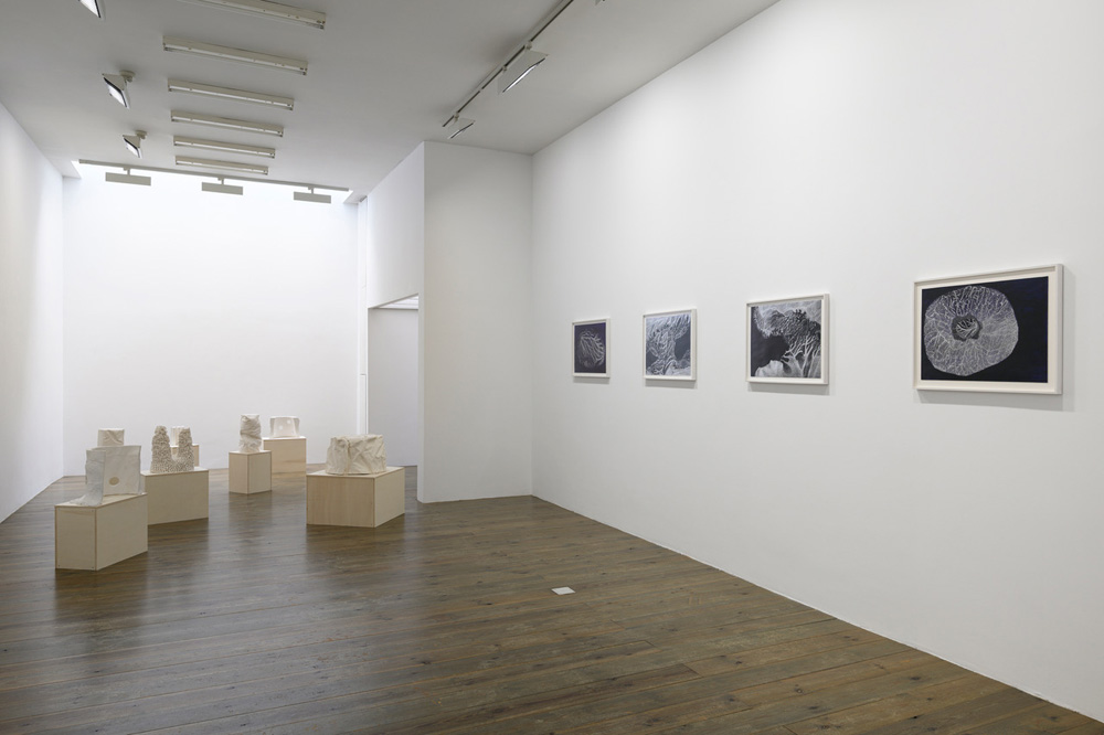 Adam Colton Slewe Gallery 