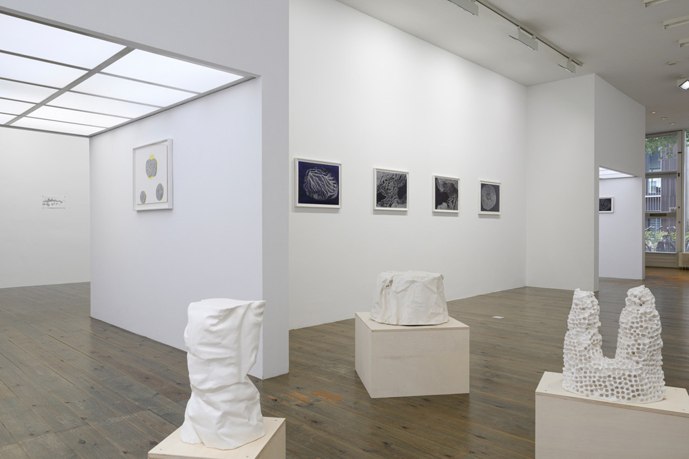 Adam Colton Slewe Gallery 