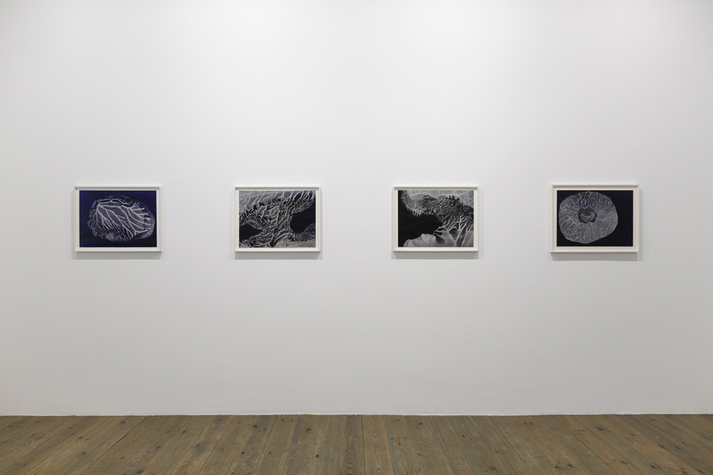 Adam Colton Slewe Gallery 