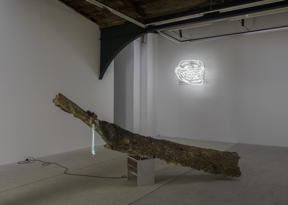 Chloé Delarue galerie frank elbaz 