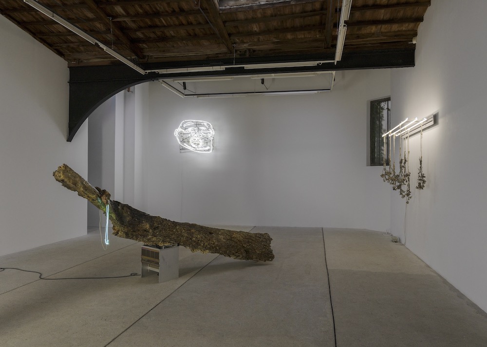 Chloé Delarue galerie frank elbaz 