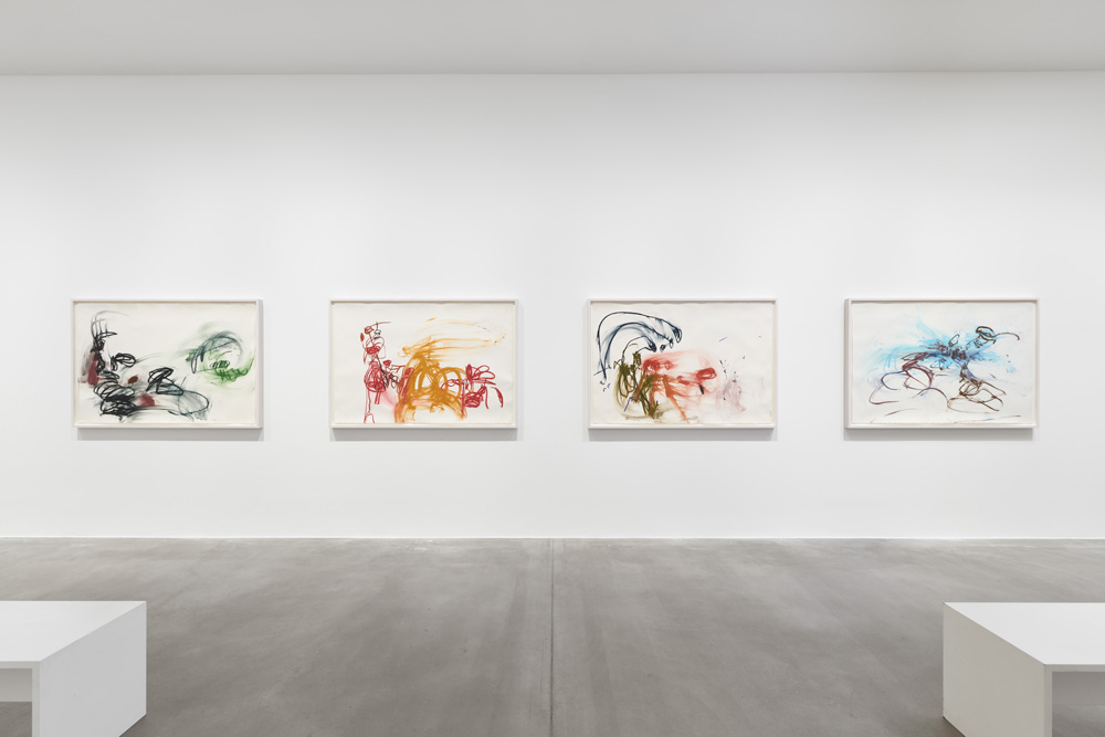 Janaina Tschäpe Galerie Max Hetzler 