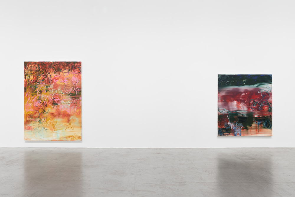 Janaina Tschäpe Galerie Max Hetzler 