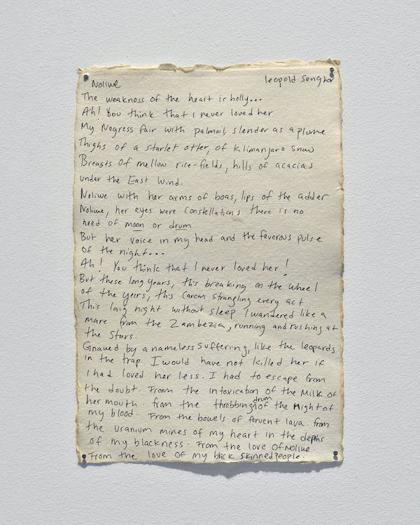 Cassi Namoda 303 Gallery 