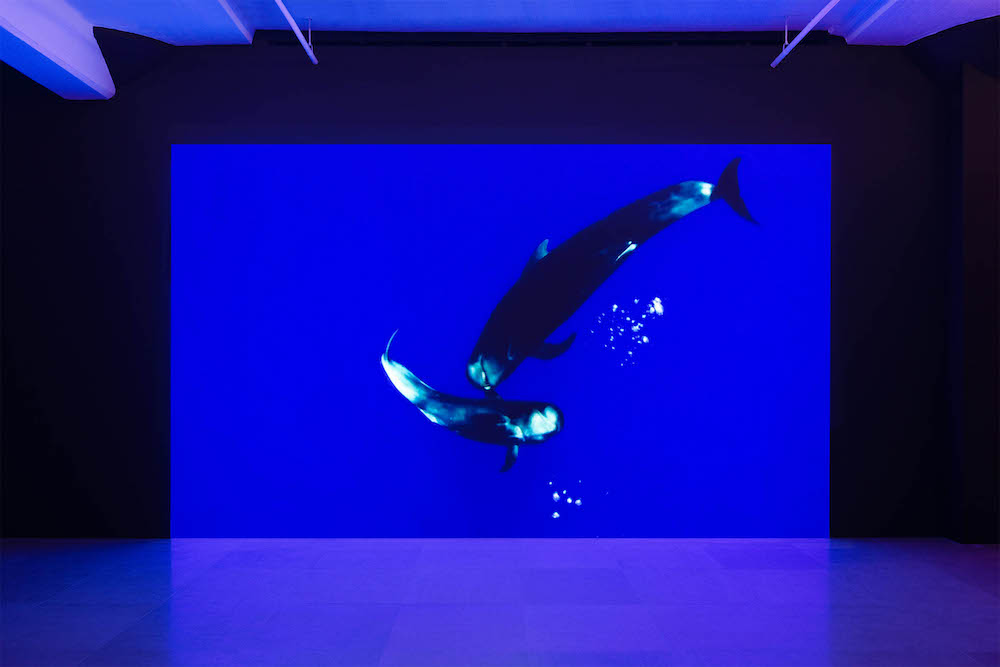 Dominique Knowles Greene Naftali 