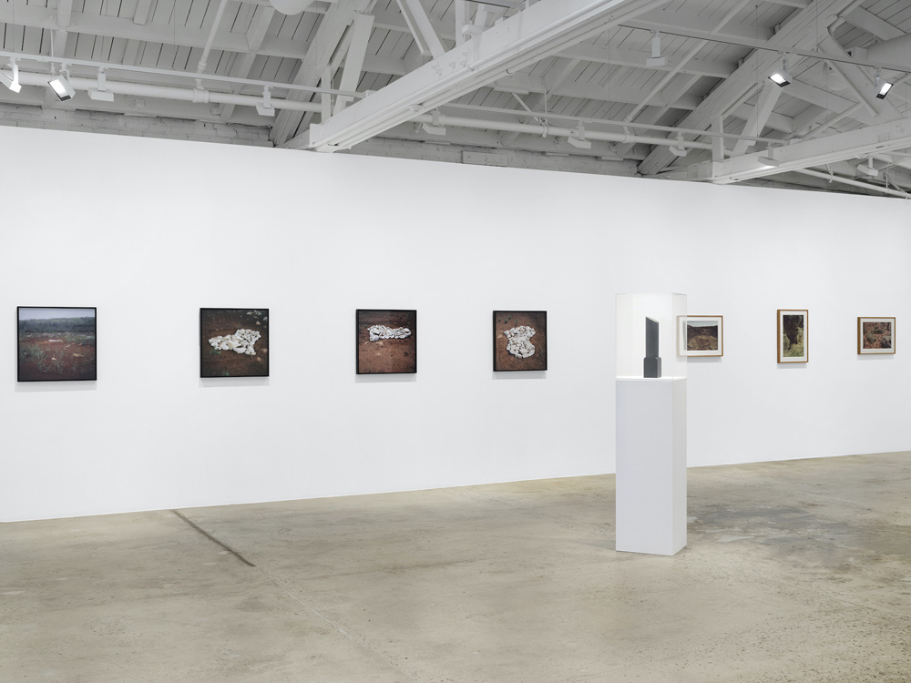  Marian Goodman Gallery 