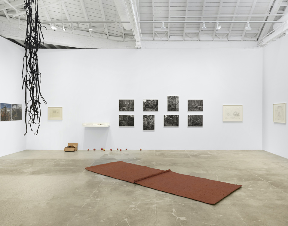  Marian Goodman Gallery 