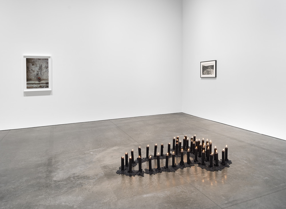 Ana Mendieta Marian Goodman Gallery 