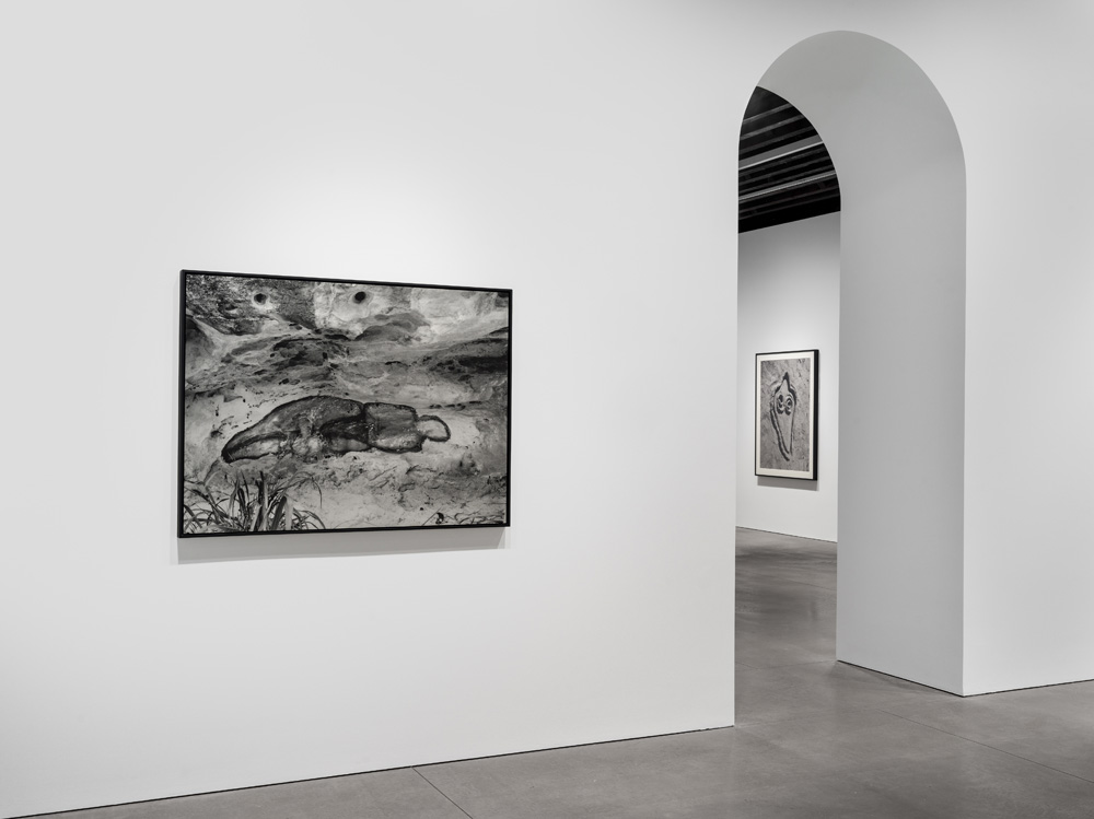 Ana Mendieta Marian Goodman Gallery 