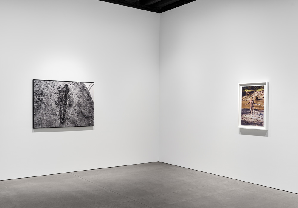 Ana Mendieta Marian Goodman Gallery 