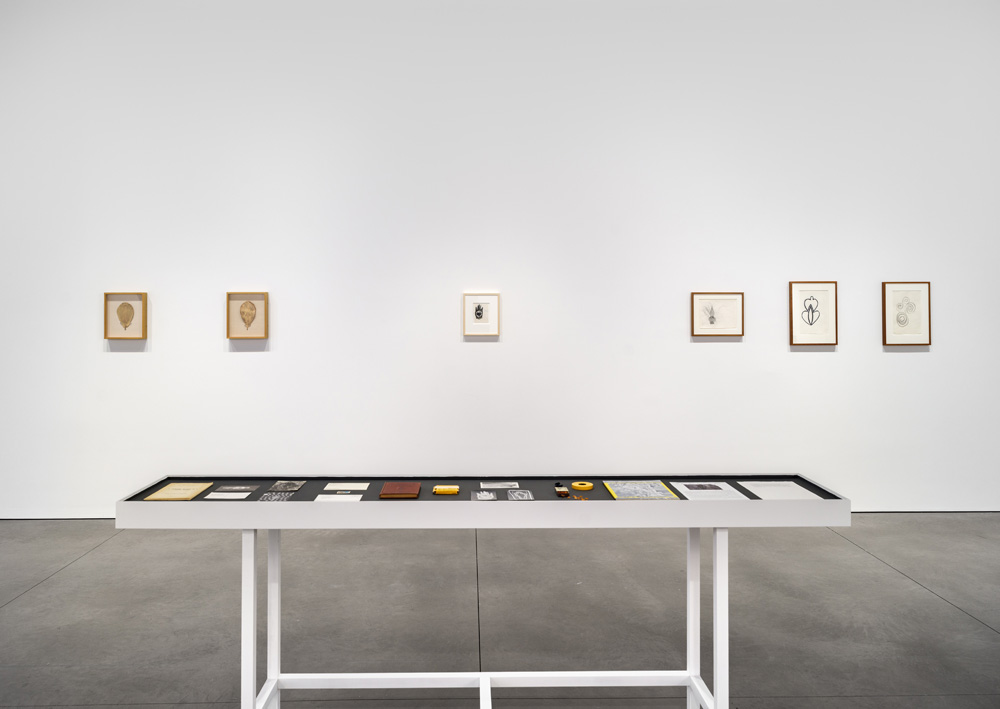 Ana Mendieta Marian Goodman Gallery 