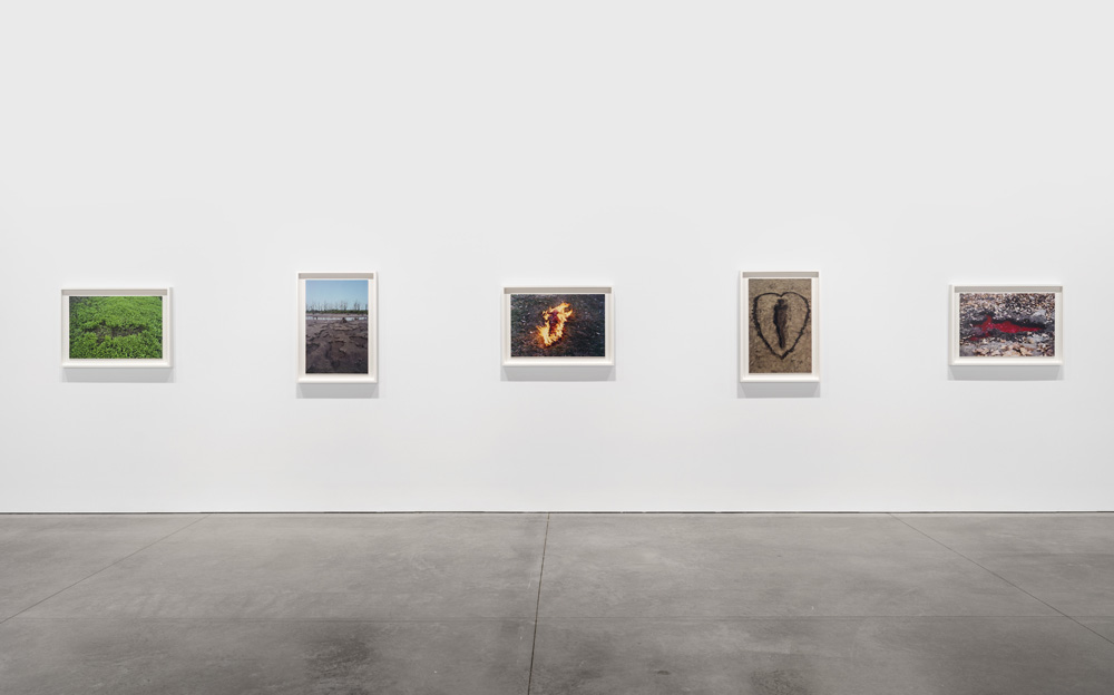 Ana Mendieta Marian Goodman Gallery 