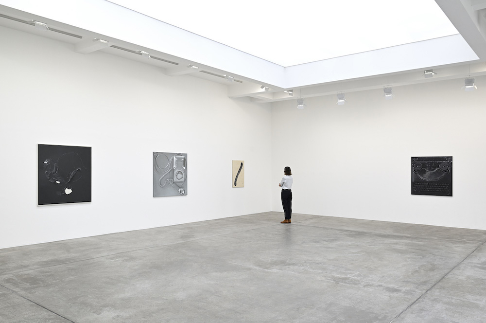 Paul Sietsema Marian Goodman Gallery 