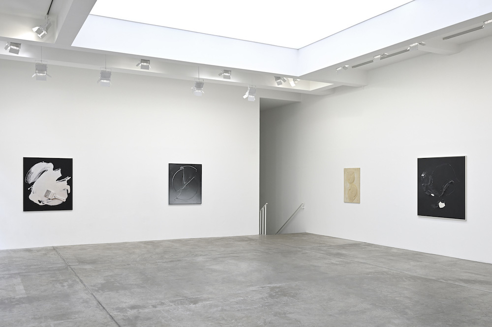 Paul Sietsema Marian Goodman Gallery 