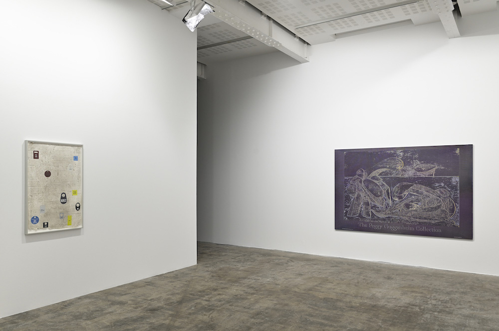 Paul Sietsema Marian Goodman Gallery 