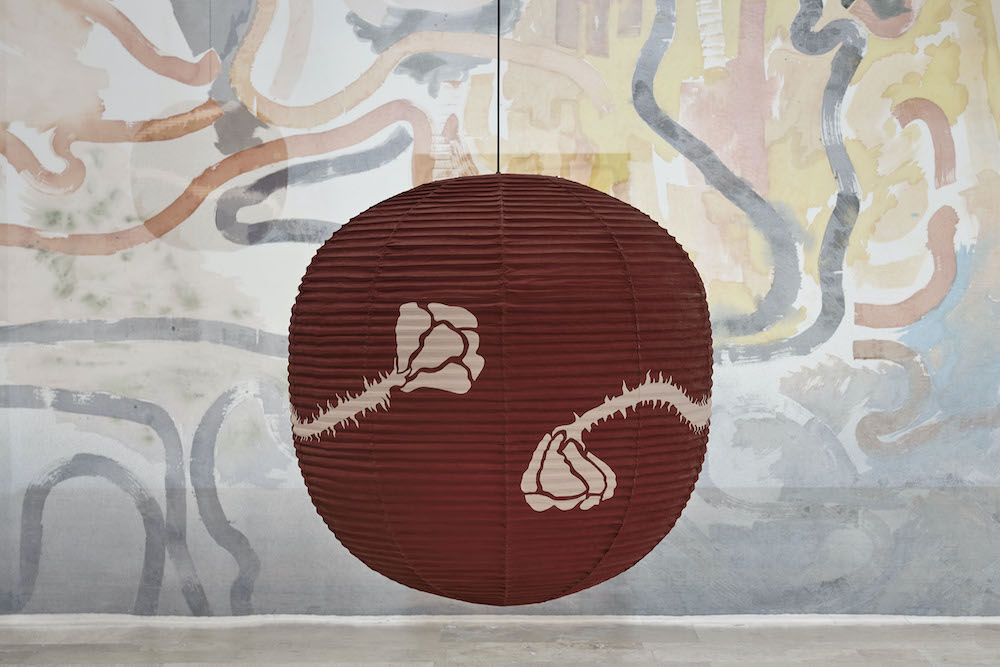 Matthew Lutz-Kinoy Capitain Petzel 