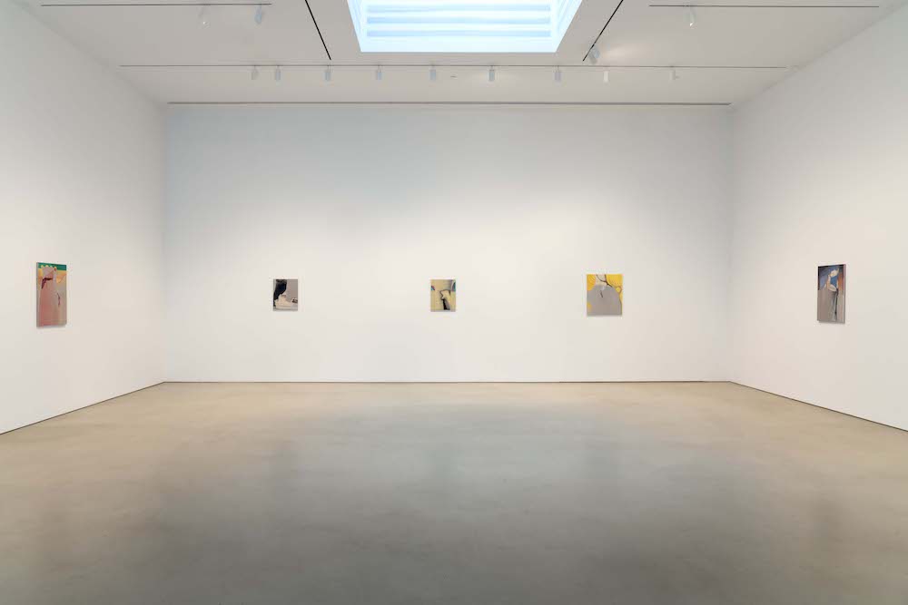 Rezi van Lankveld Petzel Gallery 