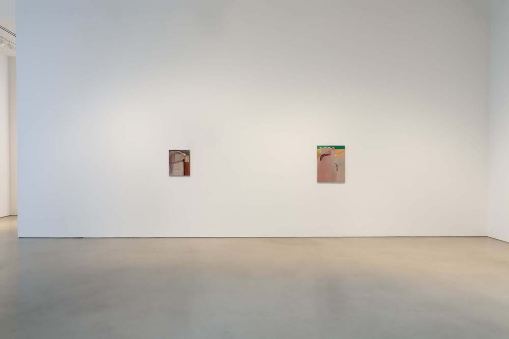 Rezi van Lankveld Petzel Gallery 