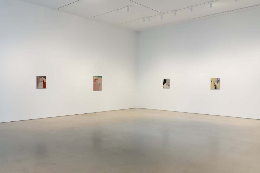 Rezi van Lankveld Petzel Gallery 