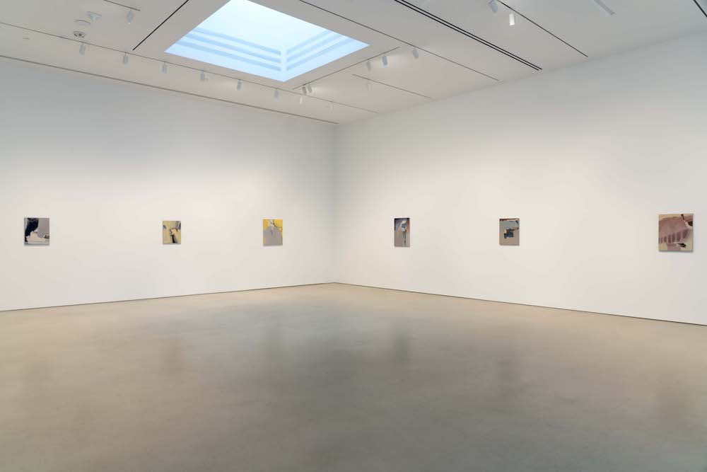 Rezi van Lankveld Petzel Gallery 
