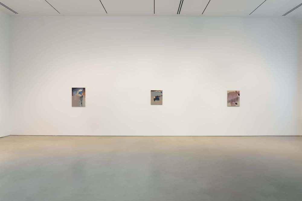 Rezi van Lankveld Petzel Gallery 