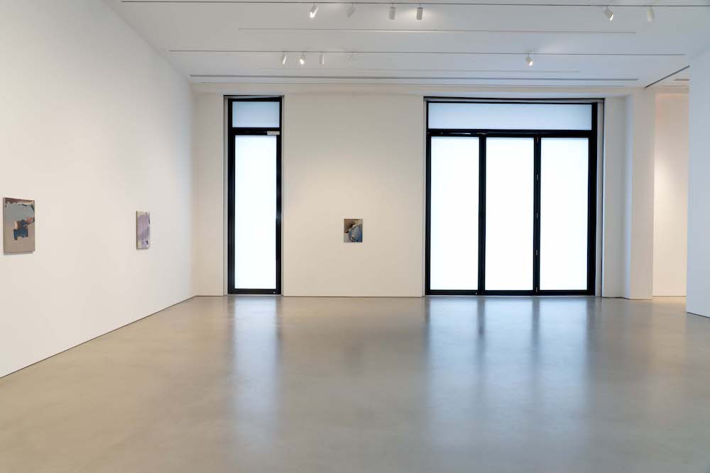 Rezi van Lankveld Petzel Gallery 