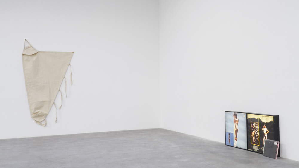 Nayland Blake Matthew Marks Gallery 