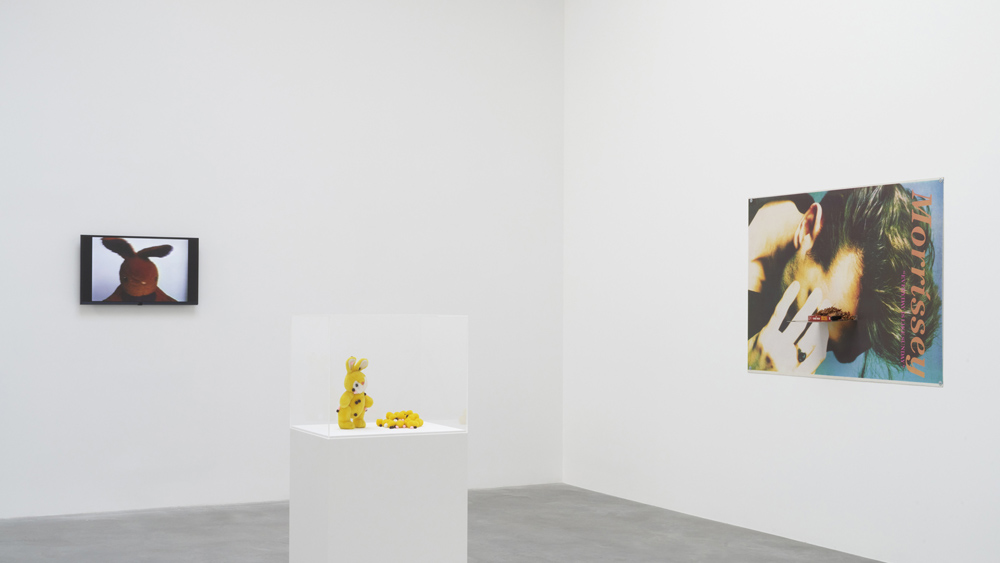 Nayland Blake Matthew Marks Gallery 