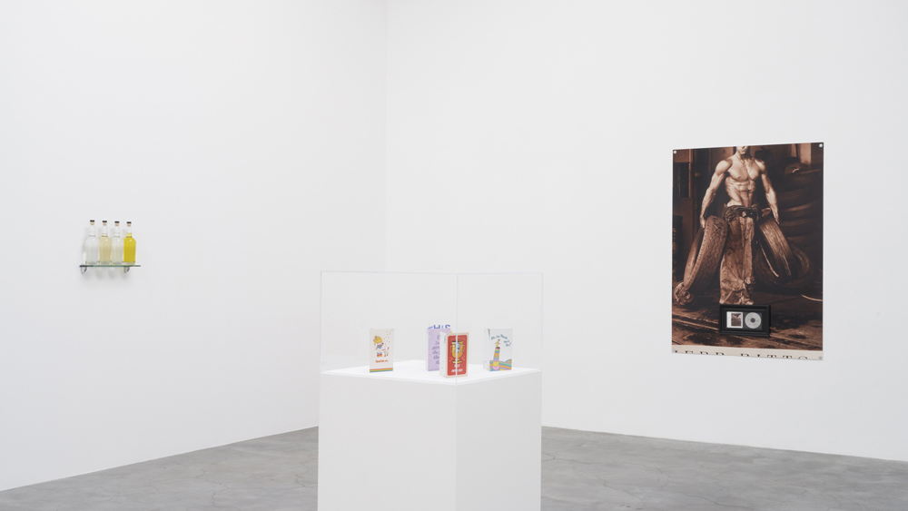 Nayland Blake Matthew Marks Gallery 