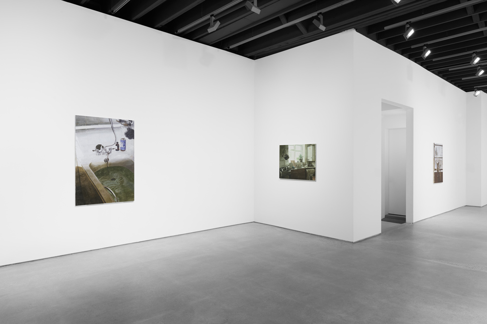 Mike Silva Anton Kern Gallery 