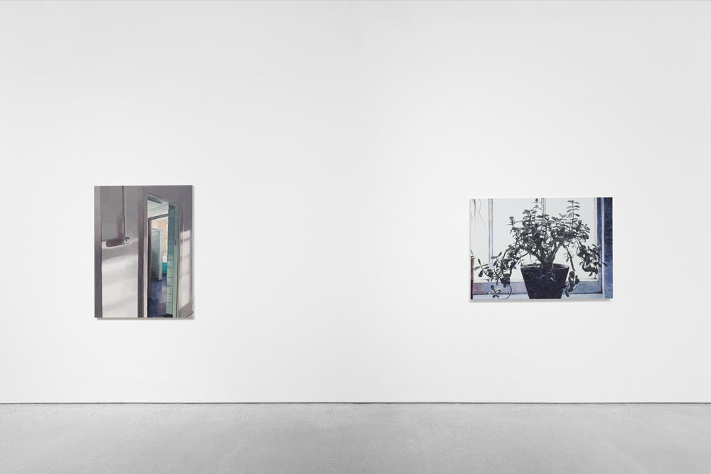 Mike Silva Anton Kern Gallery 