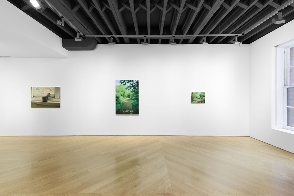 Mike Silva Anton Kern Gallery 