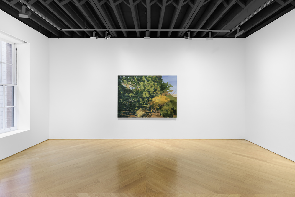 Mike Silva Anton Kern Gallery 