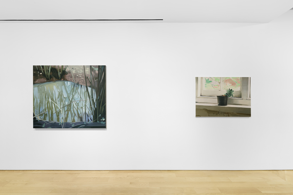 Mike Silva Anton Kern Gallery 