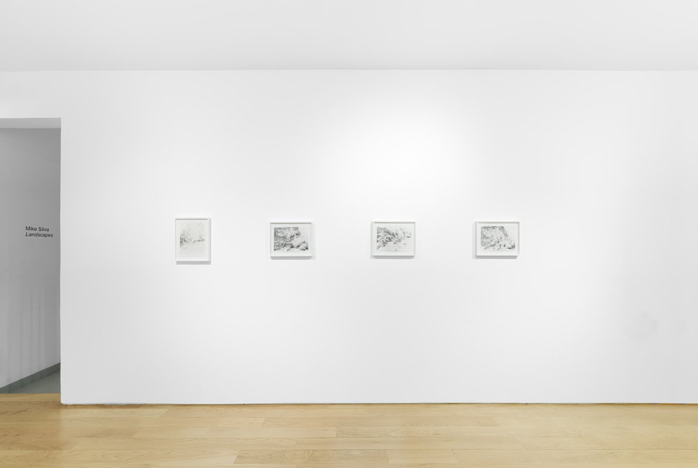 Mike Silva Anton Kern Gallery 