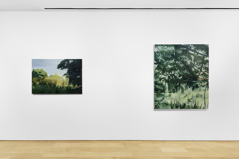 Mike Silva Anton Kern Gallery 