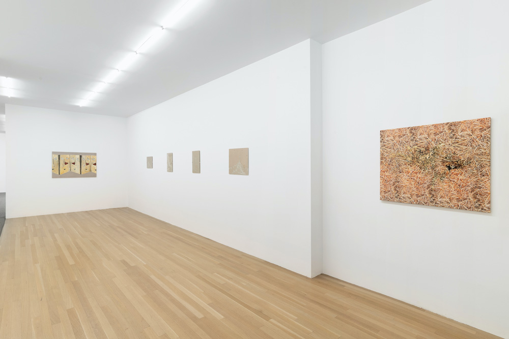 Vera Palme Galerie Buchholz 