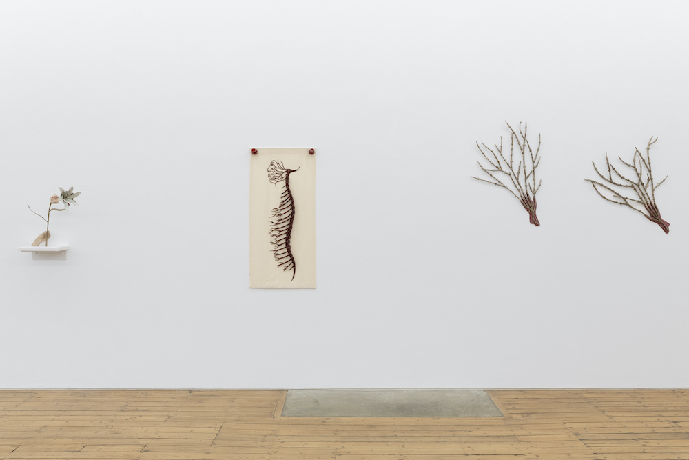 Paloma Proudfoot The Approach 