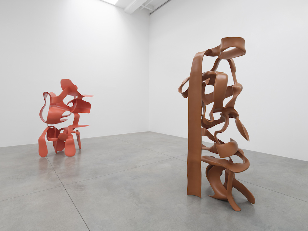 Tony Cragg Lisson Gallery 