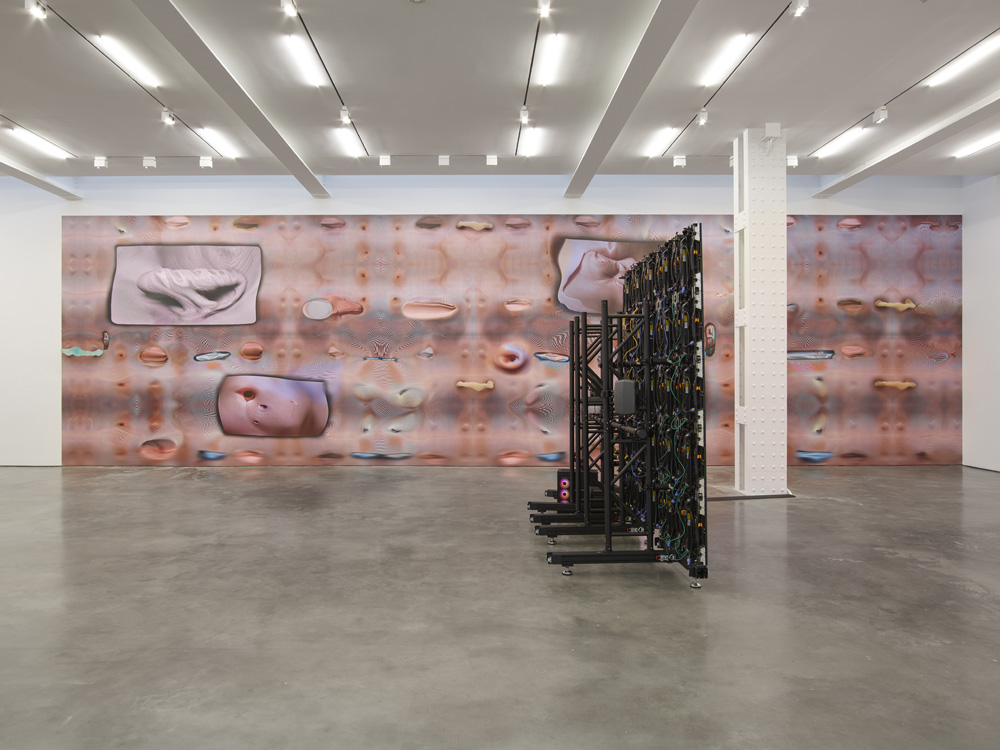 Tishan Hsu Lisson Gallery 