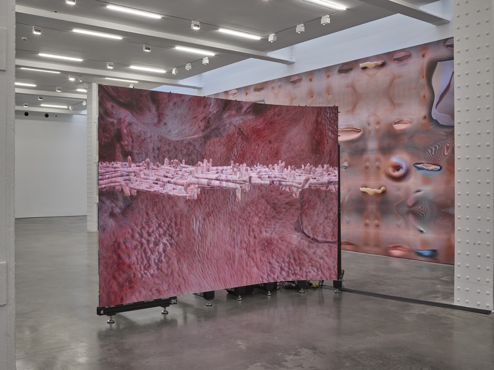 Tishan Hsu Lisson Gallery 