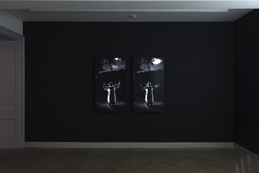 Yael Bartana Galerie Peter Kilchmann 