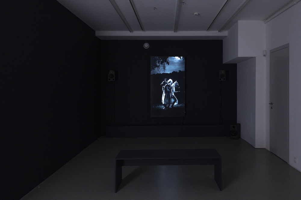 Yael Bartana Galerie Peter Kilchmann 