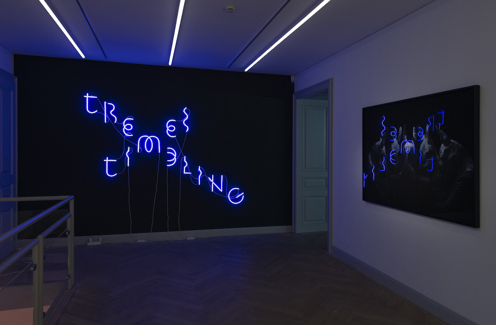 Yael Bartana Galerie Peter Kilchmann 